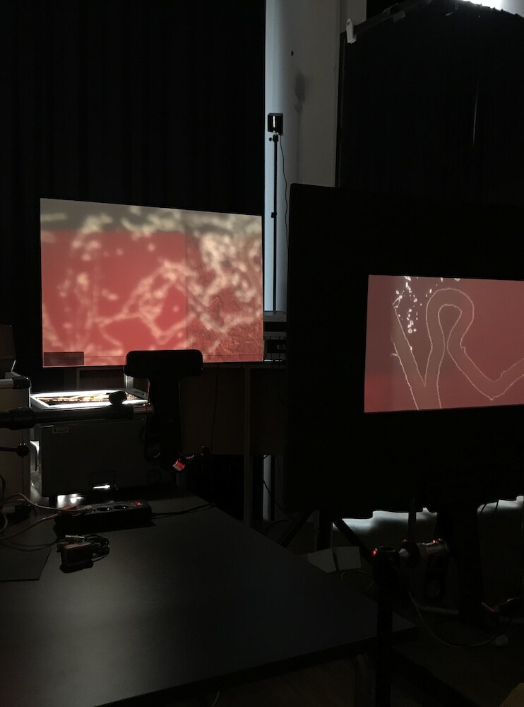 Sound Light Space Time