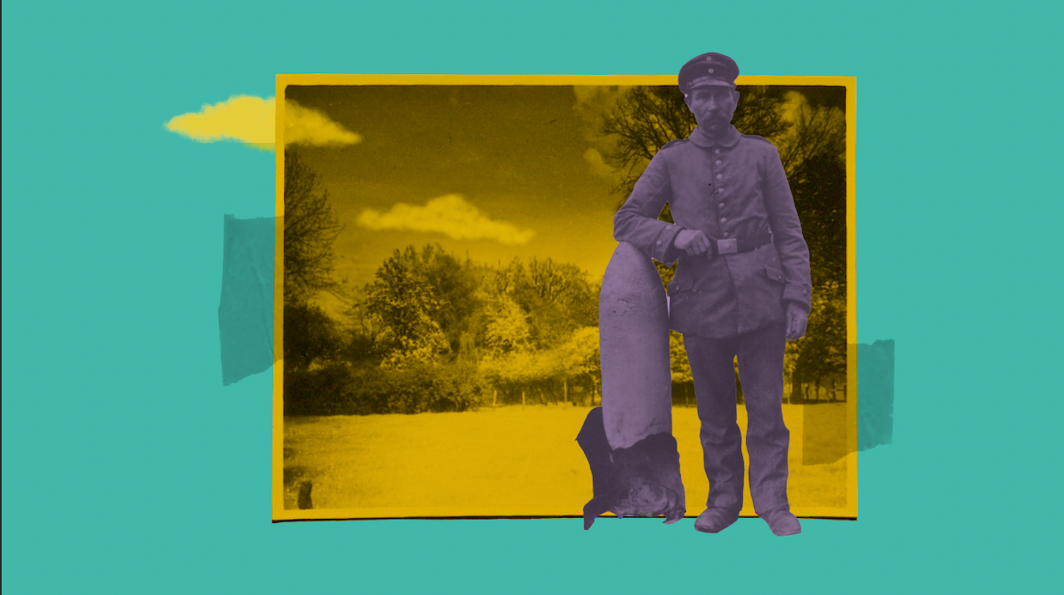 Bildname: kd-grune_blatter-_braune_wurzeln-mylrjz