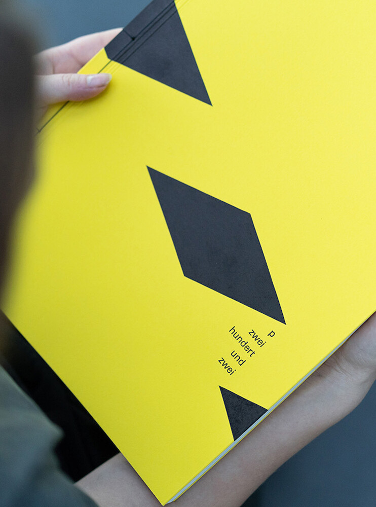 P202|Vor Gebrauch alle Sicherheitshinweise lesen und verstehen