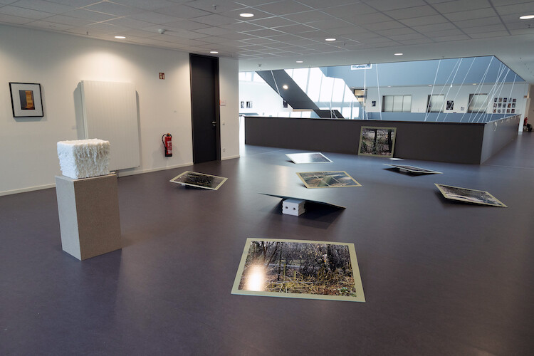 Bildname: kd-campus-oyedpk