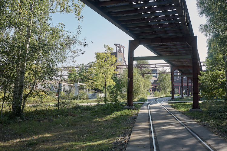 Bildname: kd-campus-gueqqw