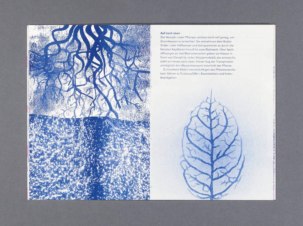 Bildname: kd-die_wege_des_wasser-3xhedq