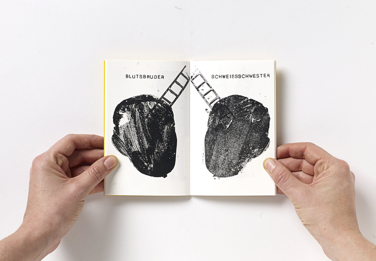 Bildname: kd-hansel_moritz-ul6s0c