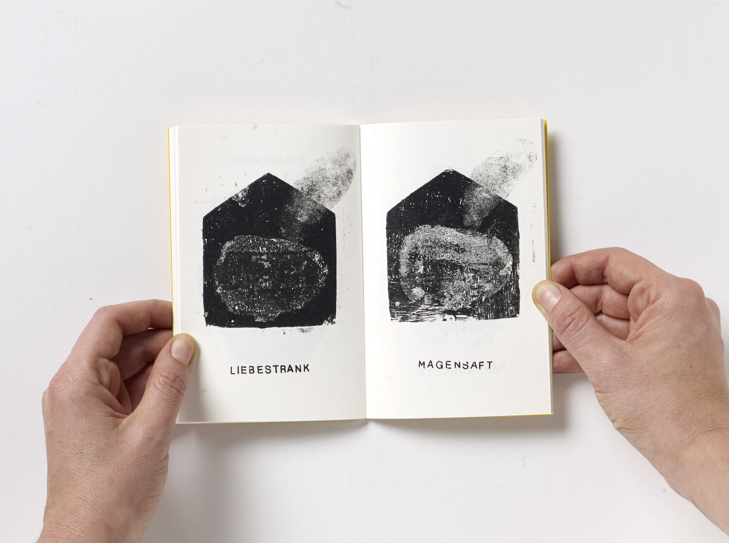 Bildname: kd-hansel_moritz-pq2xei