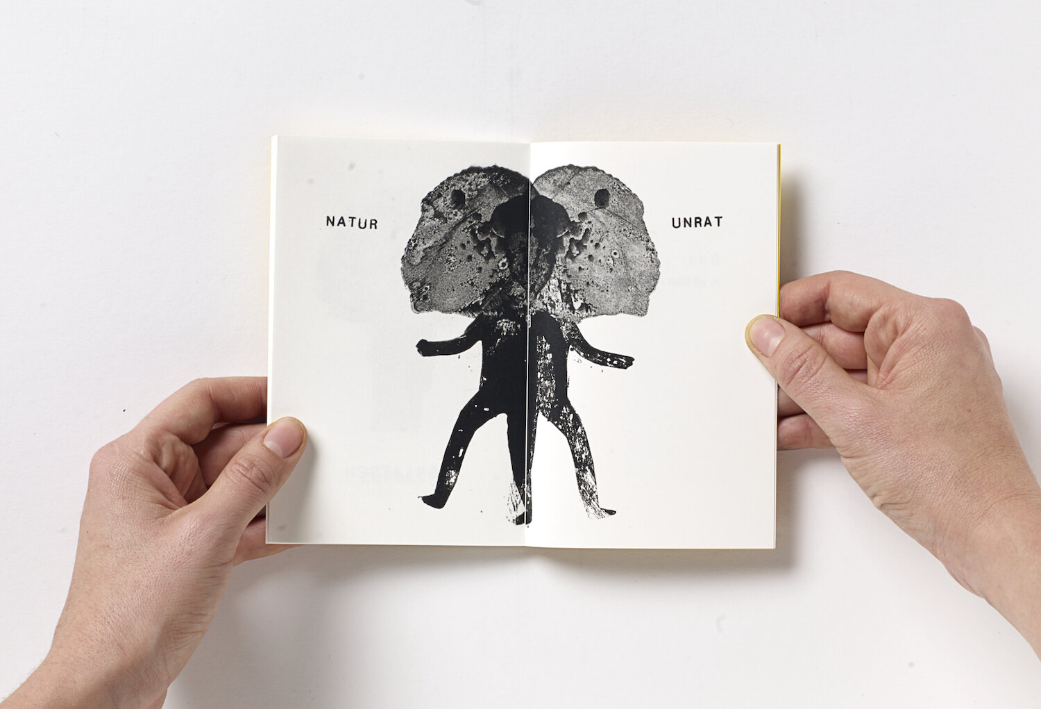 Bildname: kd-hansel_moritz-wug6ar