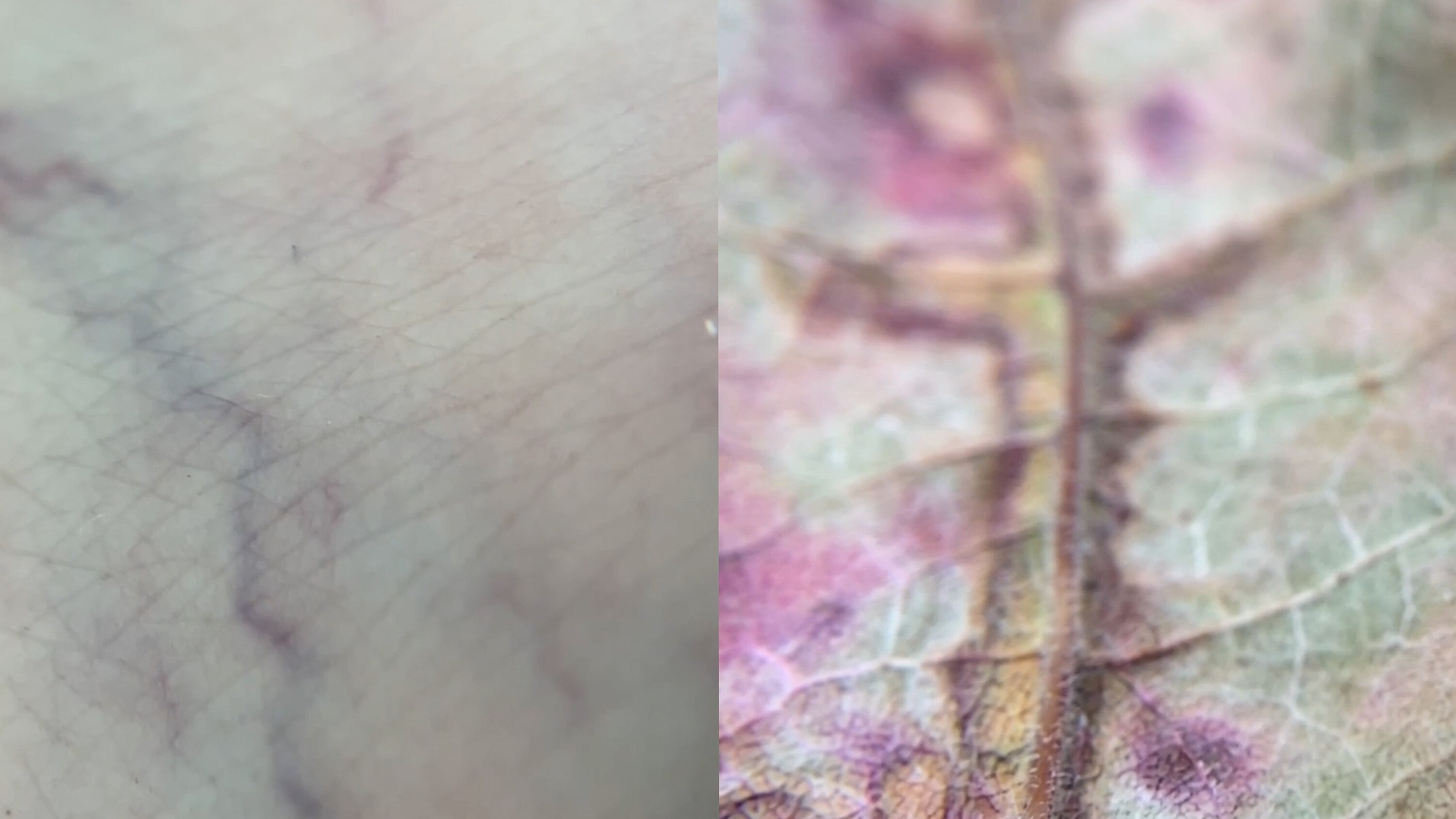 Bildname: kd-portraits_of_earth-xfffky