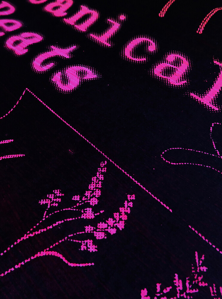 Teaserbild von Projekt Botanical Beats