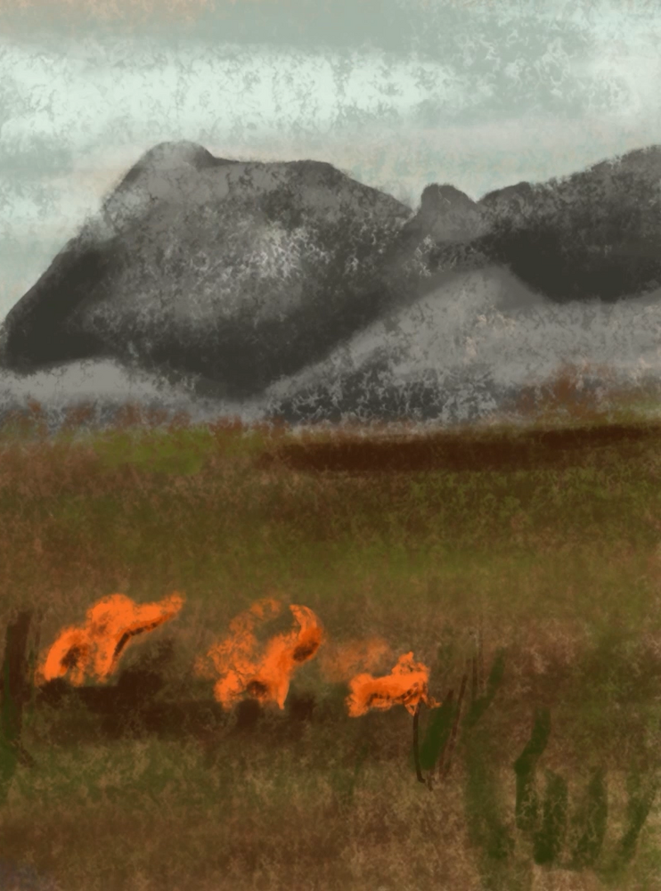 Archive of Extinction