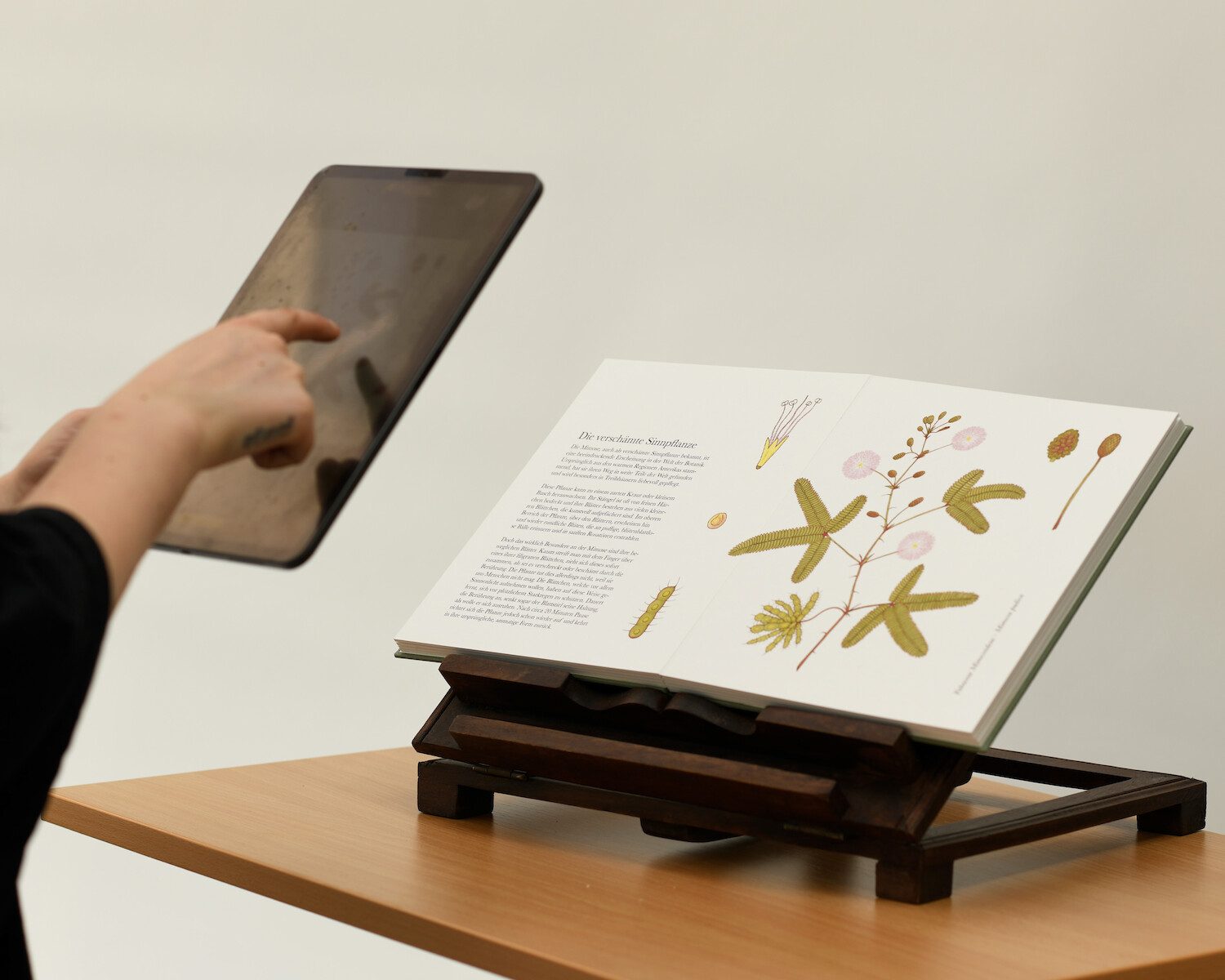 Bildname: kd-das_lebende_lehrbuch_grossartiger_pflanzen-0d5h8m