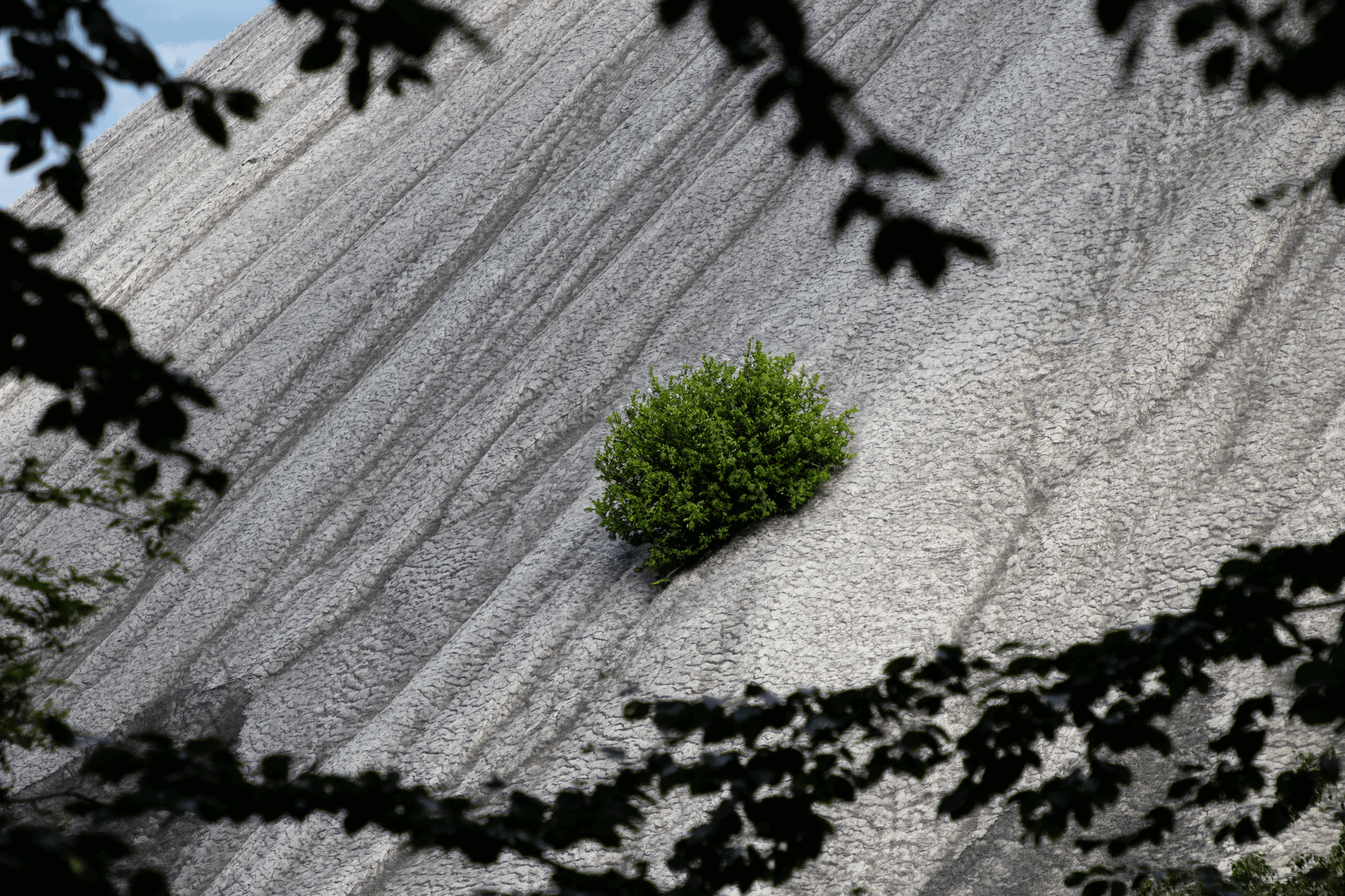 Venusberg (2023-fortlaufend)